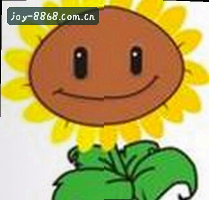 张磊